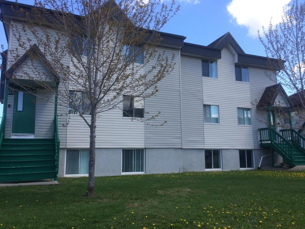 Logement à louer Pintendre Lévis 51/2 demi sous-sol | 2929086