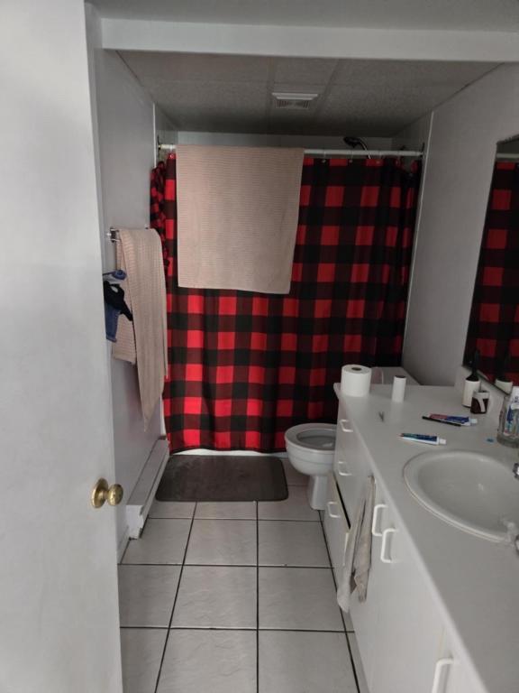 Logement à louer Pintendre Lévis 51/2 demi sous-sol | 2929086