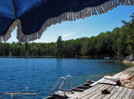 The Beaver Pond Cabin | 2929325