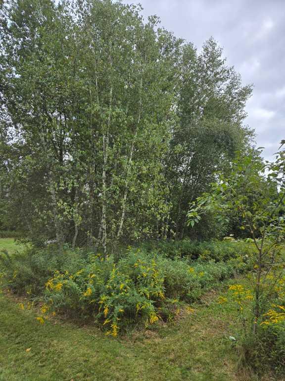 Terrain vacant | 2929335