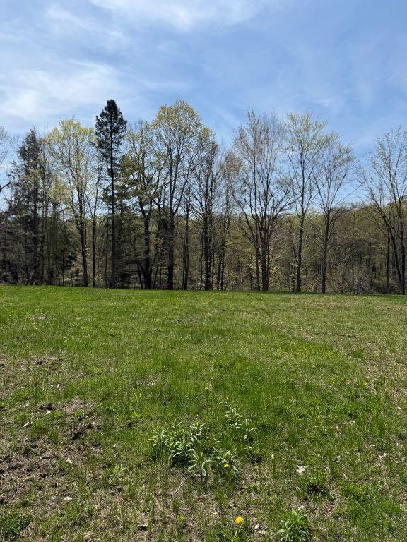 terrain sur le bord de l'eau | 2929339
