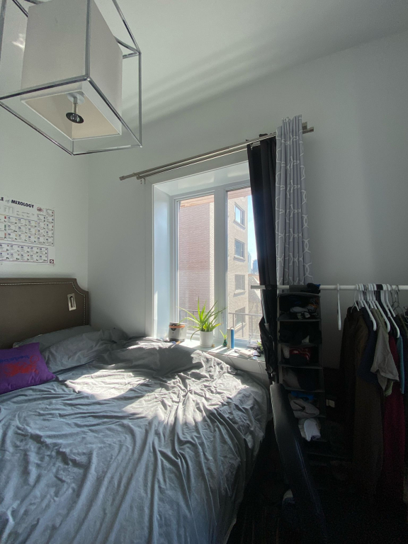 McGill Area - Superb 5 1/2 Furnished | 2930849