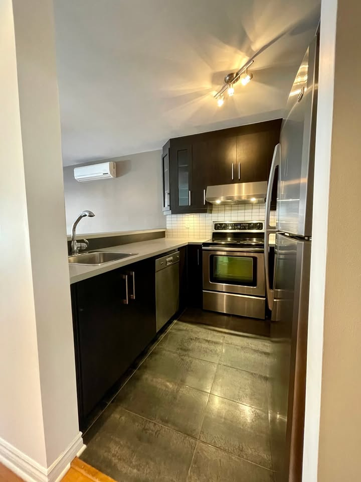 Hochelaga - Condo 4 1/2 Avec Garage | 2930858