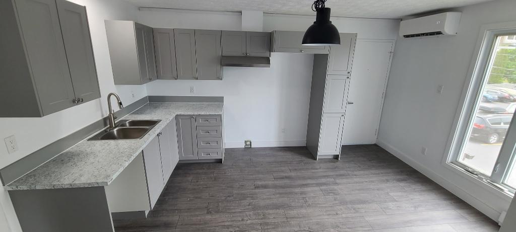 Très beau 4 1/2 - Rénové - LIBRE IMMÉDIATEMENT - Quartier Calme et paisible! | 2931511