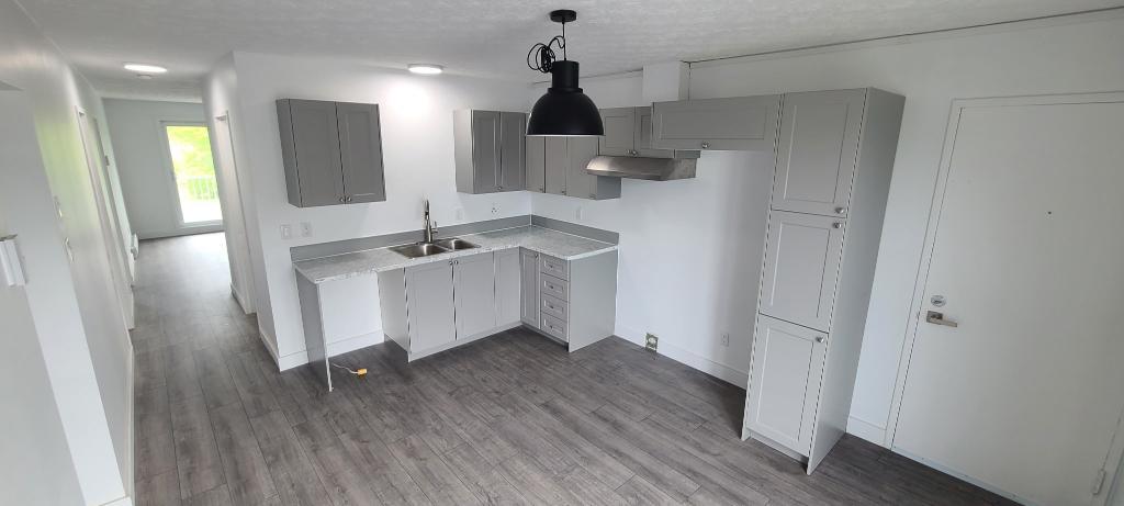 Très beau 4 1/2 - Rénové - LIBRE IMMÉDIATEMENT - Quartier Calme et paisible! | 2931511