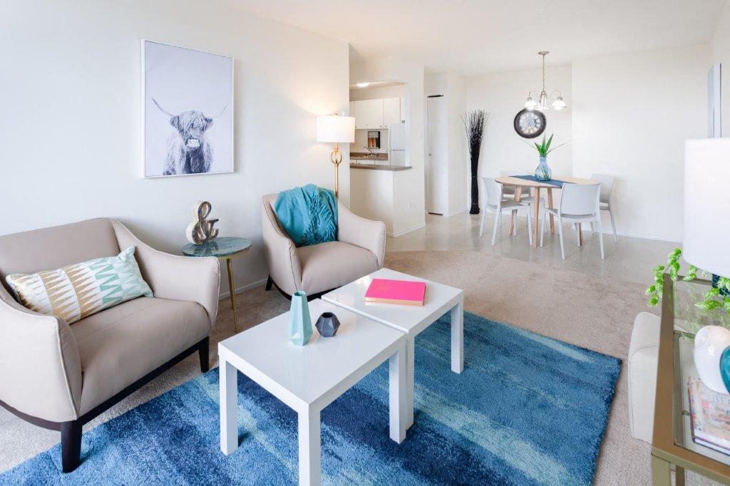 1 Bedroom A - 576 Cite Des Jeunes, Gatineau | 2931549