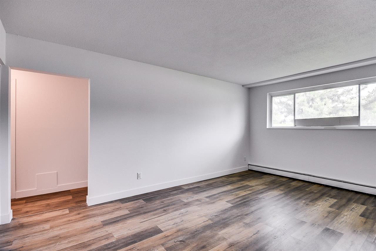 33 Rue Lemieux (Hull) Magnifique 4 1/2 | 2931555
