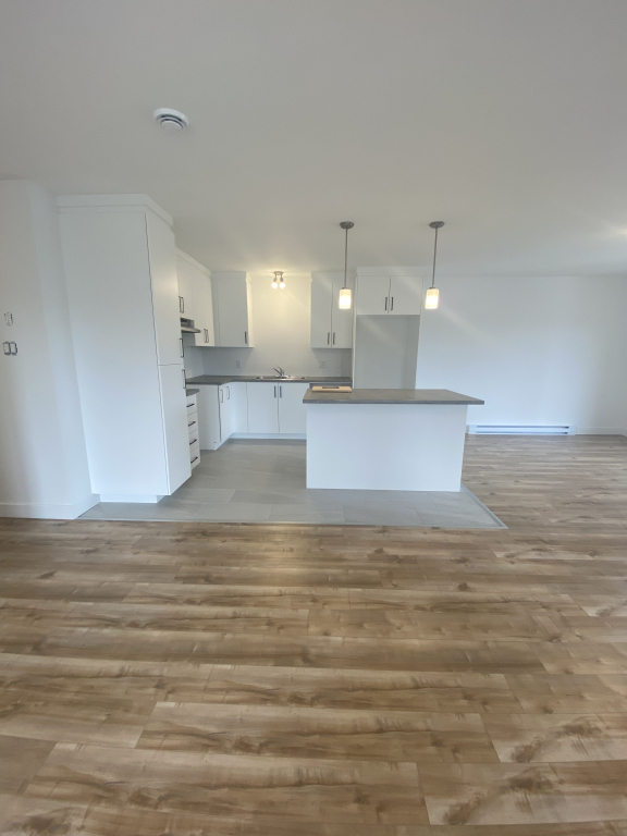 Magnifique 5 ½ à Louer – Secteur Lépine | 2931591
