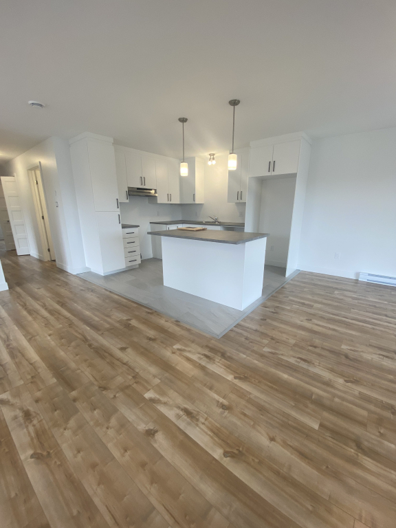 Magnifique 5 ½ à Louer – Secteur Lépine | 2931591