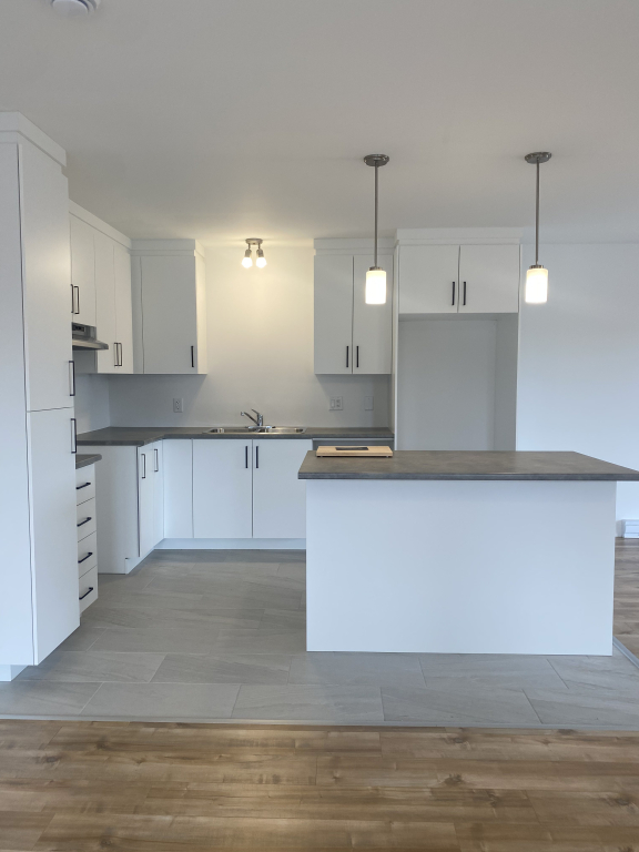 Magnifique 5 ½ à Louer – Secteur Lépine | 2931591
