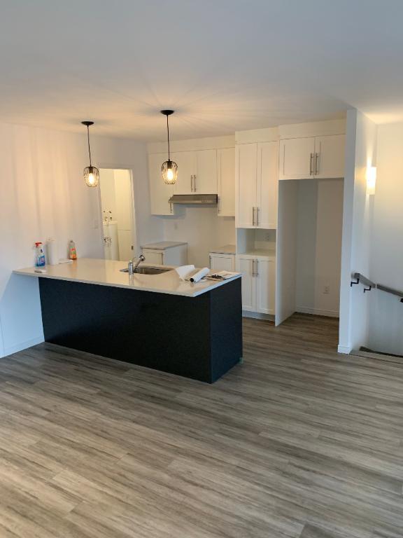 Magnifique 4 1/2 presque neuf à Lévis (Roc-Pointe, St-Nicolas), au 1ier étage, Climatisé, thermopompe. 2 STATIONNEMENTS, 1IER DÉCEMBRE | 2932567
