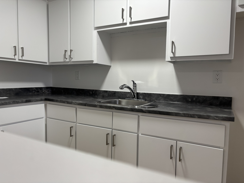 GRAND 4 ½ | MONT-BELLEVUE | MAINTENANT | 2932611