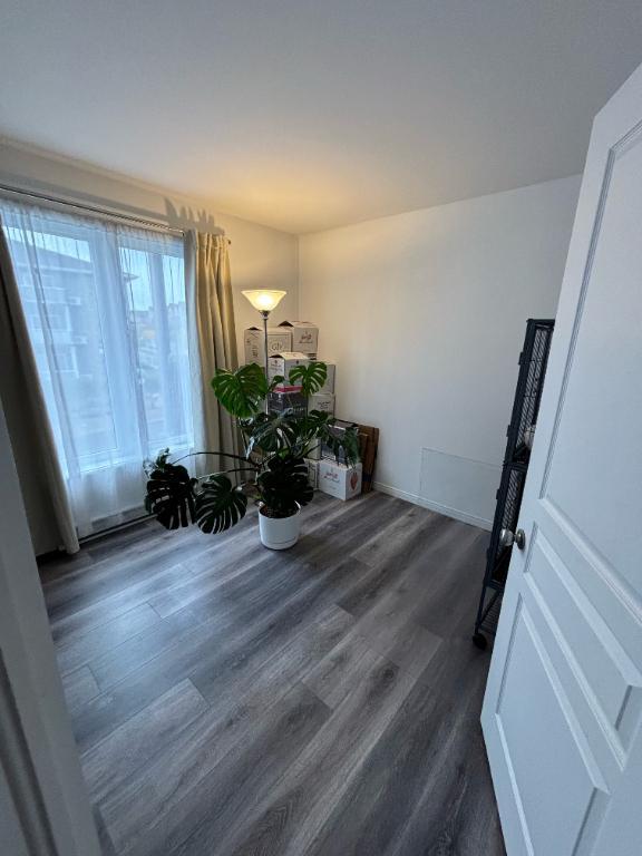 Superbe 5 1/2 à LÉVIS (St-David), 2ième étage à l'avant, 2 STATIONNEMENTS EXTÉRIEURS INCLUS, LIBRE LE 26 octobre 2025. | 2933063