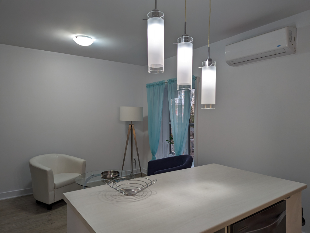 COLOCATION UNIQUE - METRO FRONTENAC | 2933128