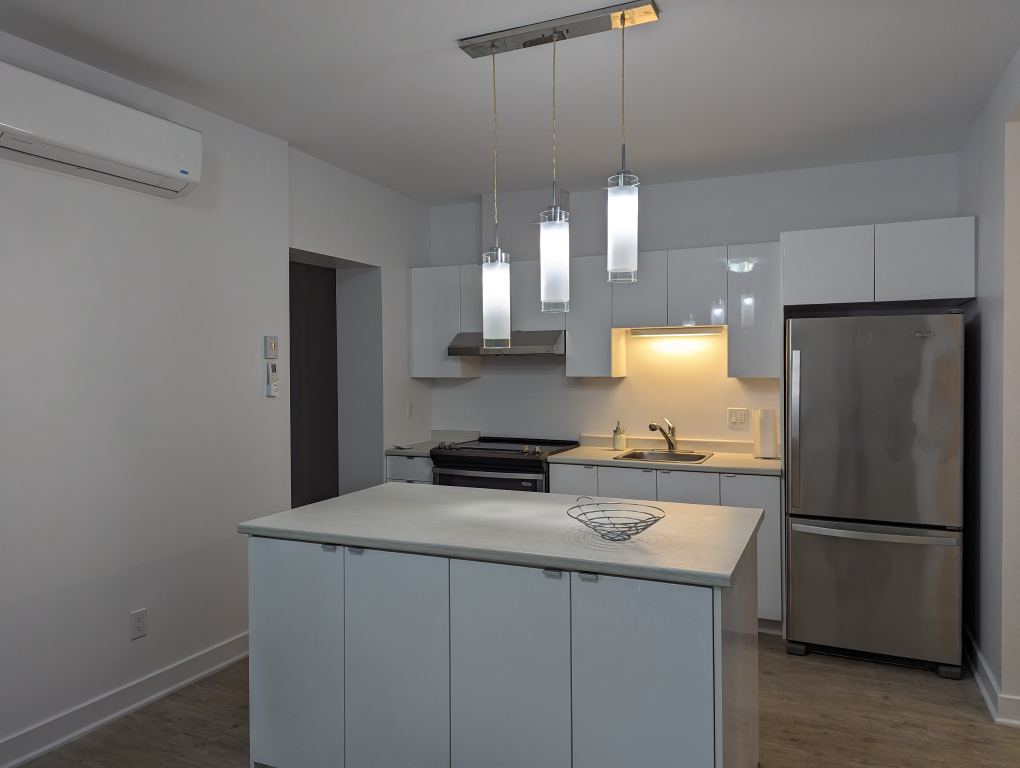 COLOCATION UNIQUE - METRO FRONTENAC | 2933128