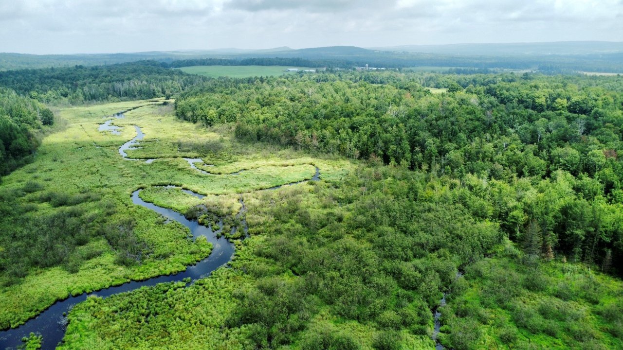 Terrain Résidentiel Sainte-Anne-de-la-Rochelle À Vendre | 2944415