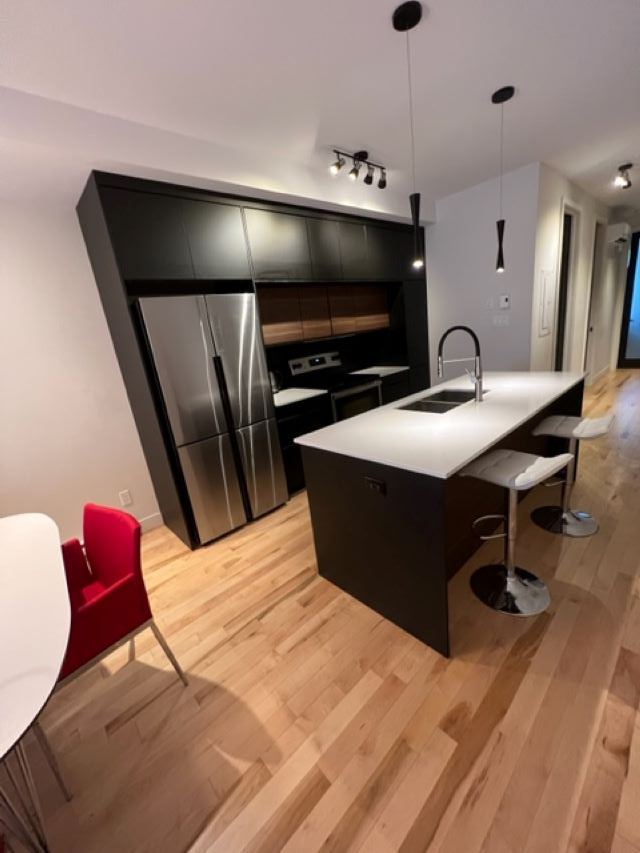 Superbe 3 1/2 Tout Meublé | 2933722