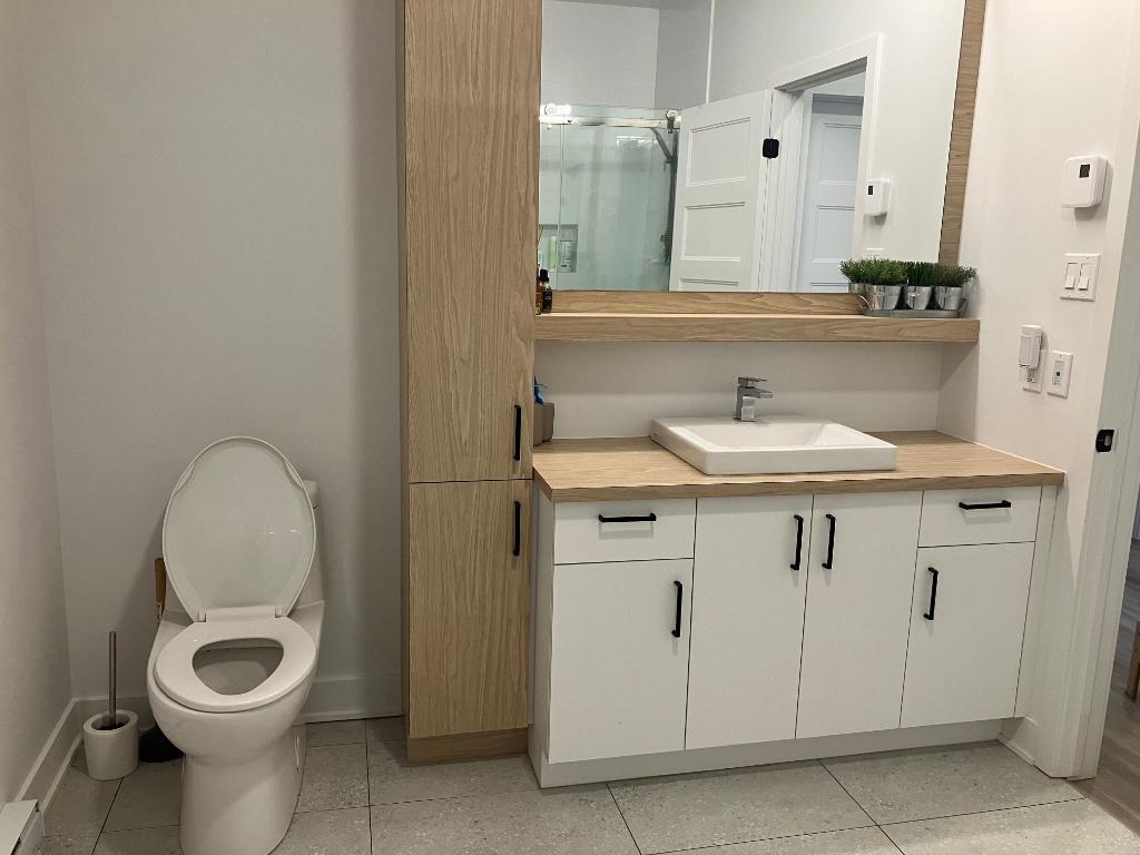 Superbe logement Otterburn Park LIBRE IMMÉDIATEMENT (voir inclusions) | 2934128
