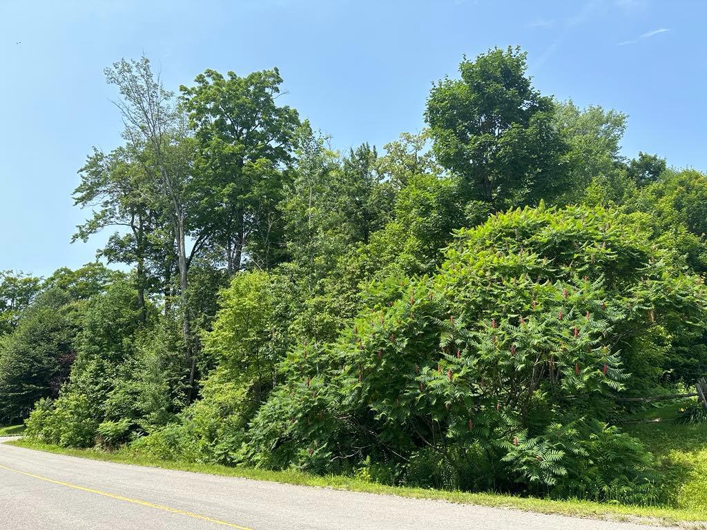 Terrain résidentiel très beau secteur à Sainte-Sophie à vendre | 2934414