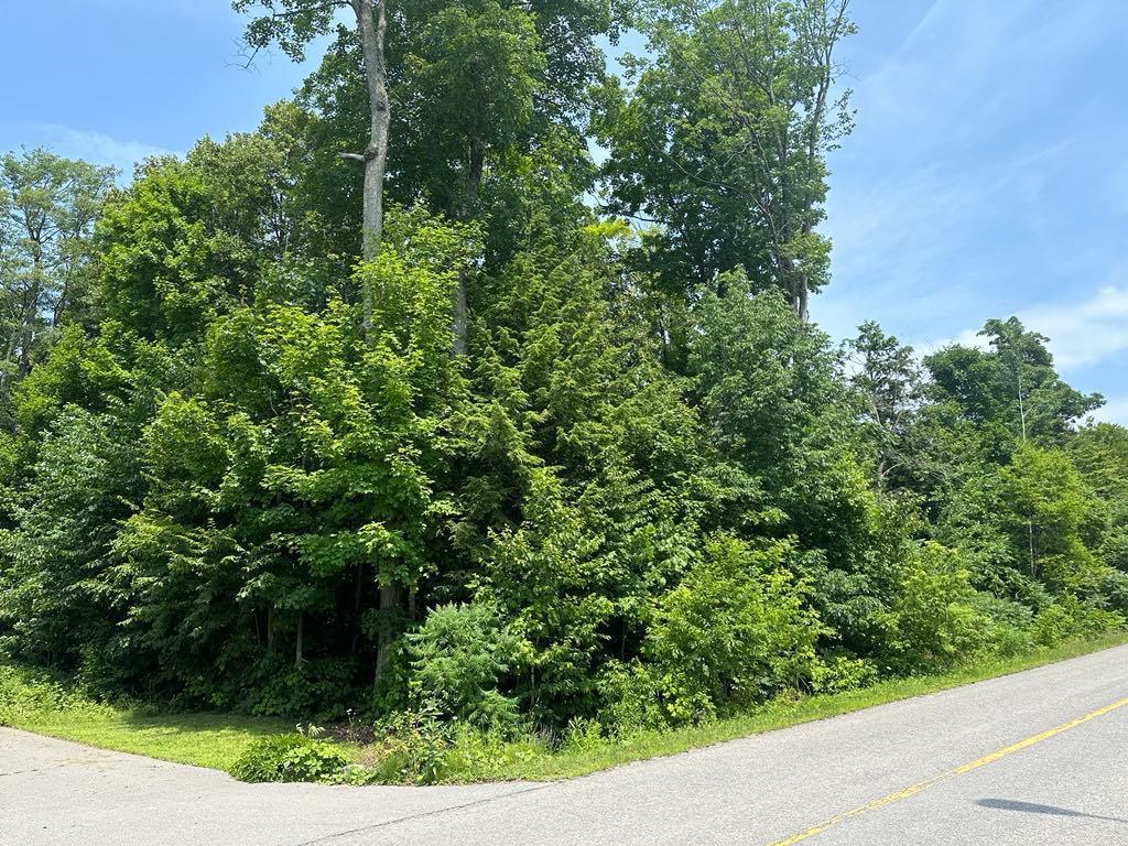 Terrain résidentiel très beau secteur à Sainte-Sophie à vendre | 2934414