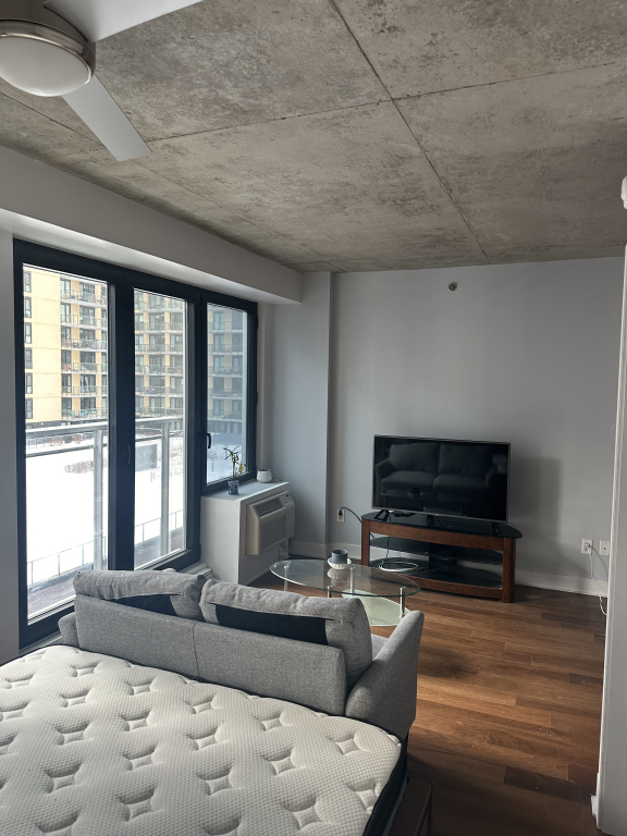 Charmant Studio Meublé à Griffintown | 2934787