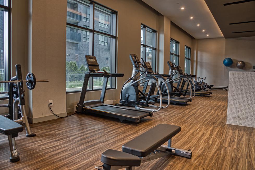 Promotions en cours | Condos Luxueux 3 1/2 à Louer | Ville Mont-Royal | 2935194