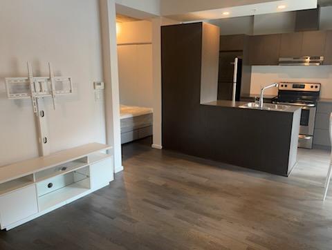 GRIFFINTOWN DOWNTOWN MONTREAL CENTRE-VILLE CONDO. Available NOW FULLY FURNISHED ON THE 9TH FLOOR. GYM, POOL, SAUNA, ROOFTOP LOUNGE. SECURITY. CAMERAS. | 2935703