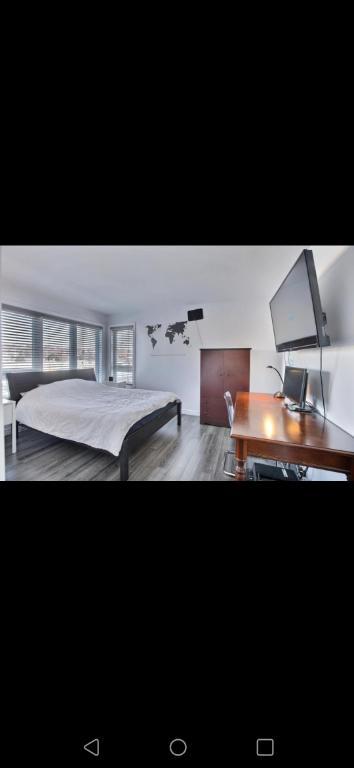 A louer condo 5 1/2 | 2948469