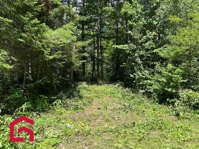 Terrain Résidentiel Notre-Dame-de-Pontmain À Vendre | 2935801