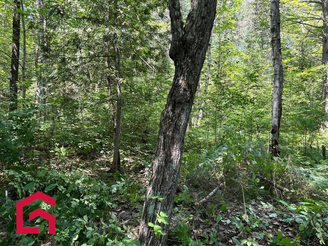 Terrain Résidentiel Notre-Dame-de-Pontmain À Vendre | 2935801