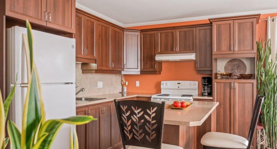 Beau Logement 4 1/2 - Condo | 2937077