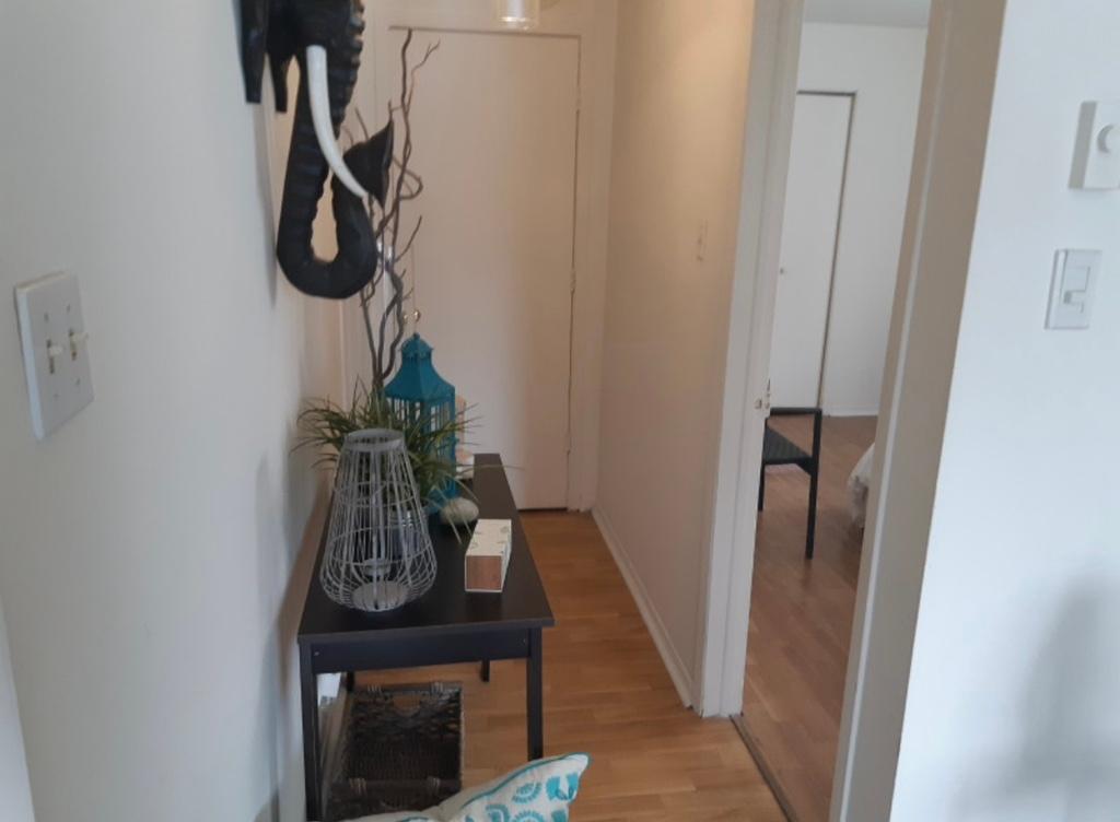 libre 3 1/2 saint-hubert, longueuil | 2937078