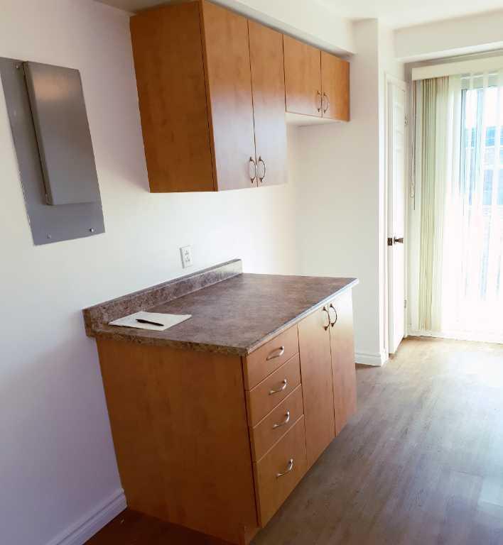 Nouveau-Rosemont Grand 4 1/2 rénové haut triplex | 2937554