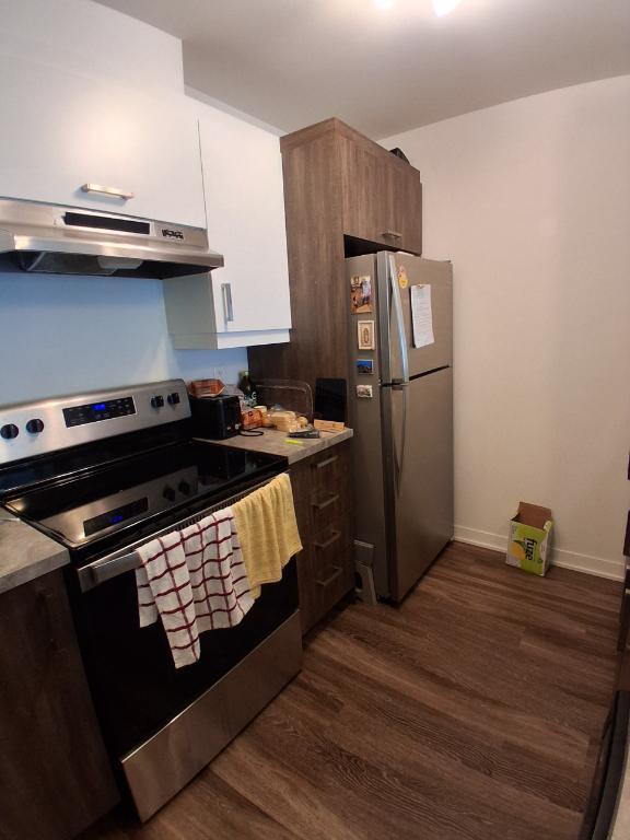 Condo 3 1/2, chien accepté. | 2937561