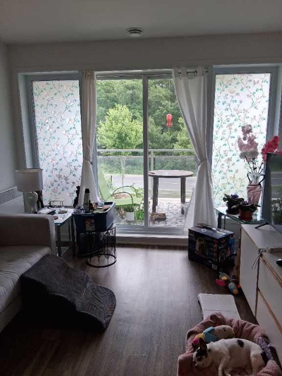 Condo 3 1/2, chien accepté. | 2937561