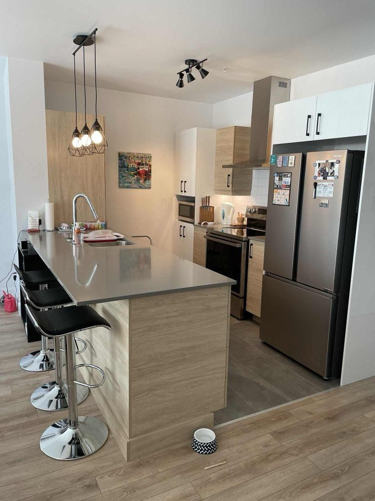 Grand Condo 4 1/2 Luxueux Avec Garage | 2937595