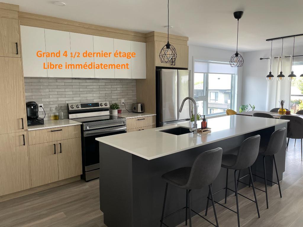 Grand 4 et demi a St Hyacinthe | 2937858