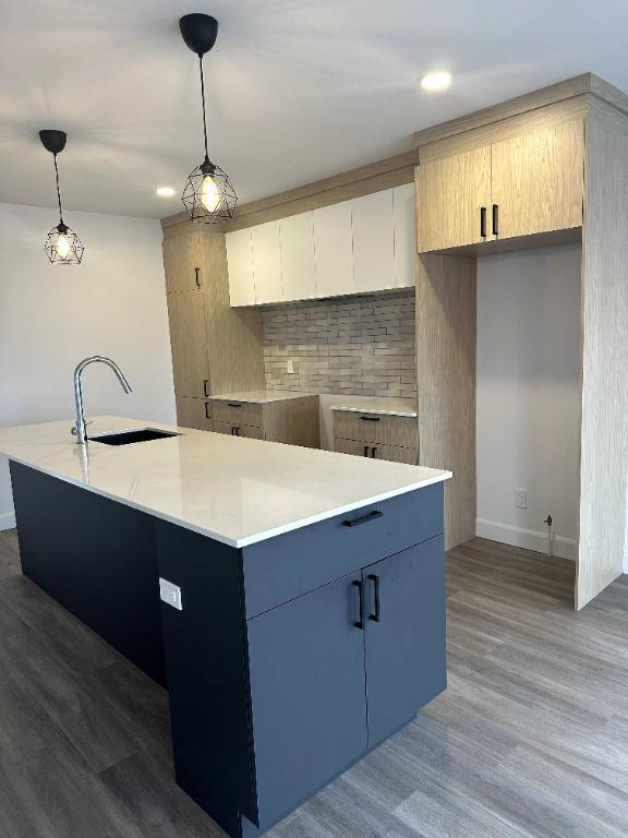 Grand 4 et demi a St Hyacinthe | 2937858