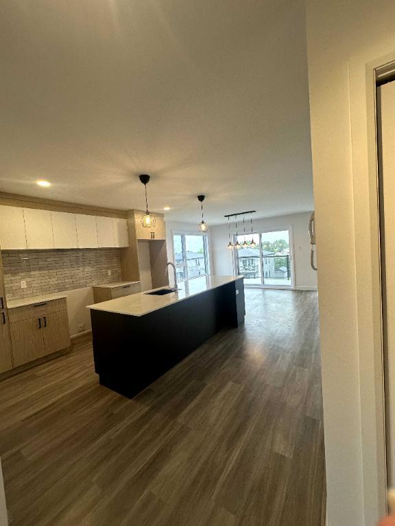 Grand 4 et demi a St Hyacinthe | 2937858