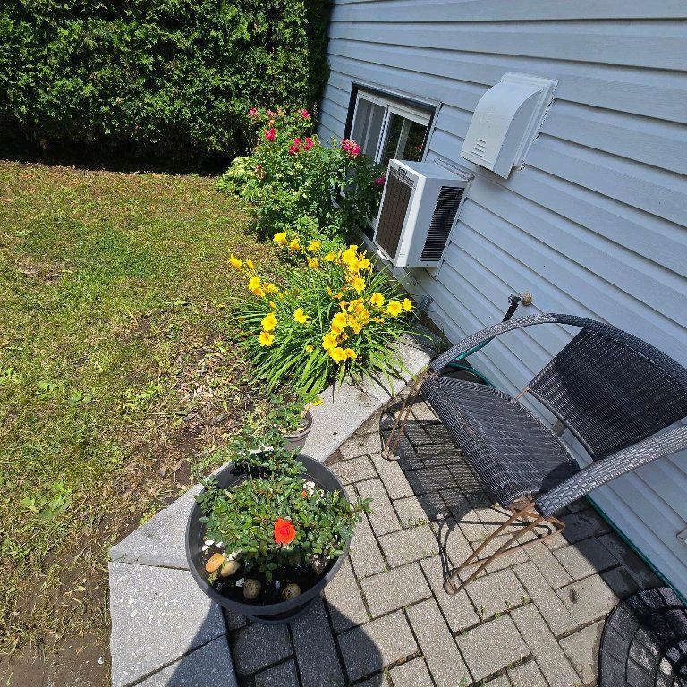 Maison semi-détachée | 2937980