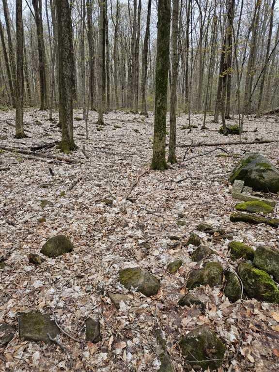📍 23$/pi². Terrain à vendre – Beaconsfield (Boisé Angell) Île de Montréal 176 000$ | 2938059