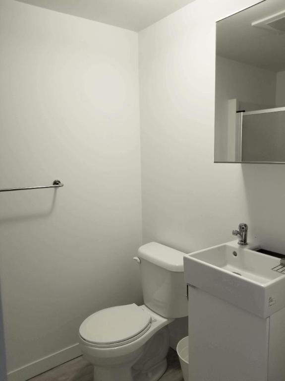 Studio - Montréal - $1,230 /mo | 2938447