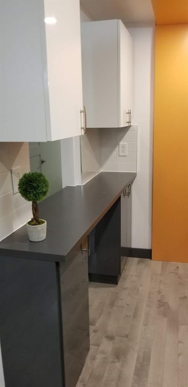 GHETTO MCGILL- APPARTEMENT ENTIEREMENT RÉNOVÉ 2025- 1 CH FERMÉE | 2938516