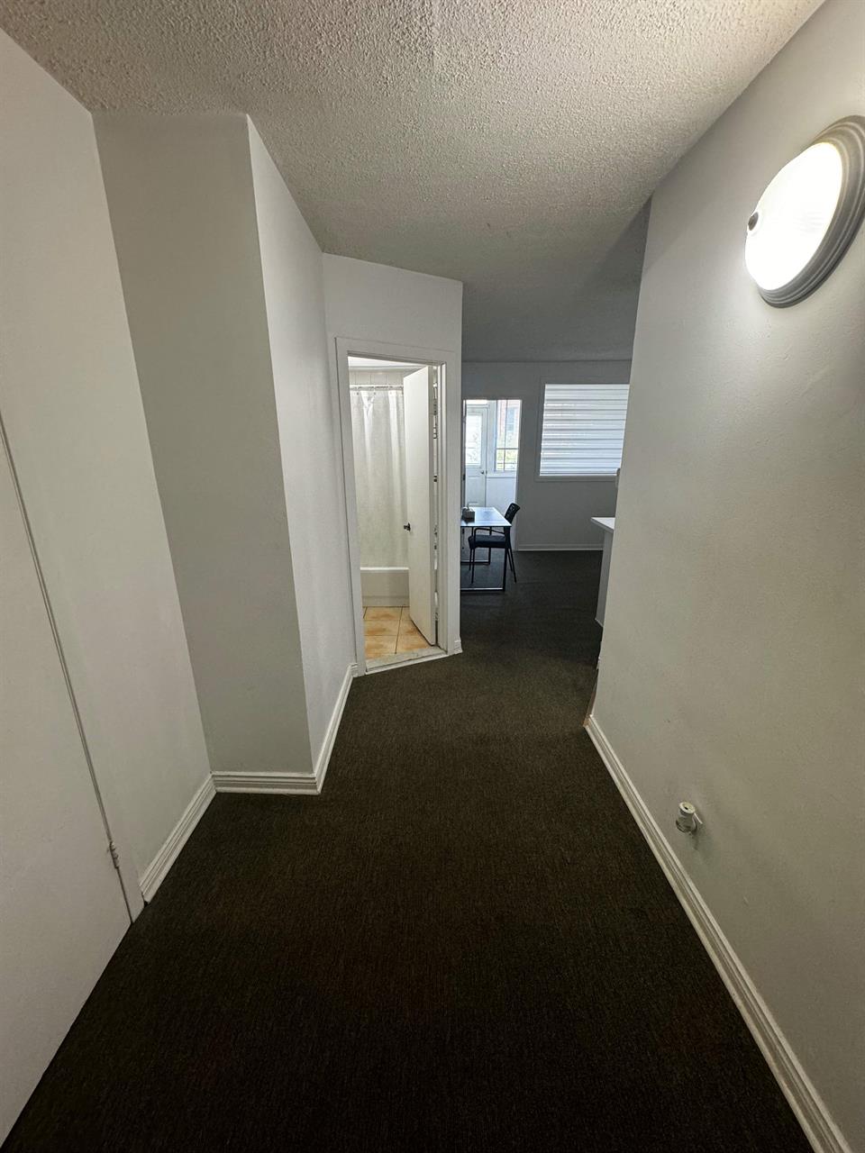 GHETTO MCGILL- 3 1/2 ENSOLLEILLÉ - 1 CHAMBRE FERMÉE | 2938517