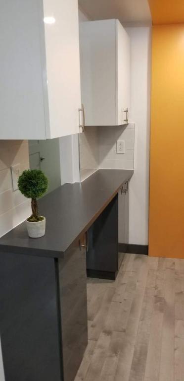 GHETTO MCGILL- APPARTEMENT ENTIEREMENT RÉNOVÉ 2025- 1 CH FERMÉE | 2938956