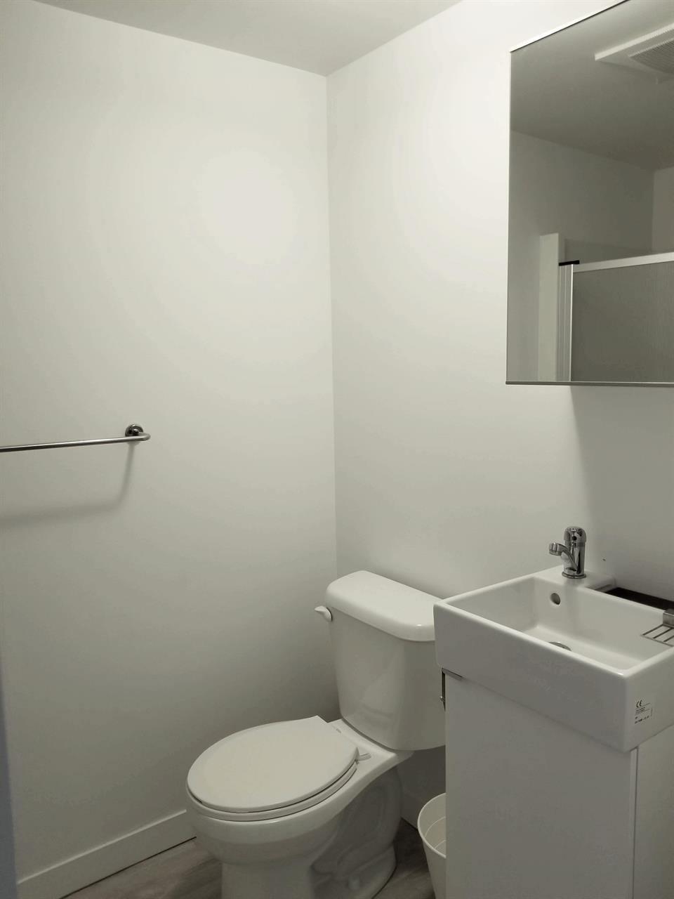 Studio - Montréal - $1,230 /mo | 2939070