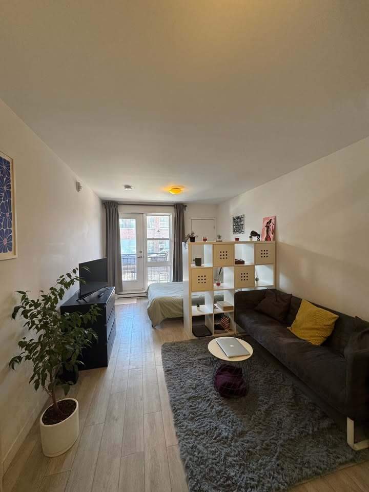 Studio - Montréal - $1,195 /mo | 2939072