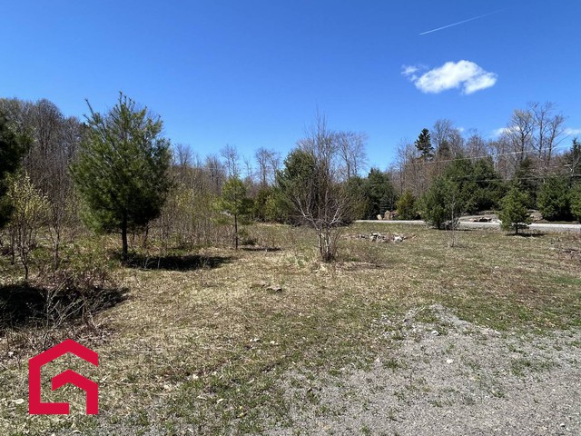 Terrain Résidentiel Sainte-Anne-des-Lacs À Vendre | 2940561