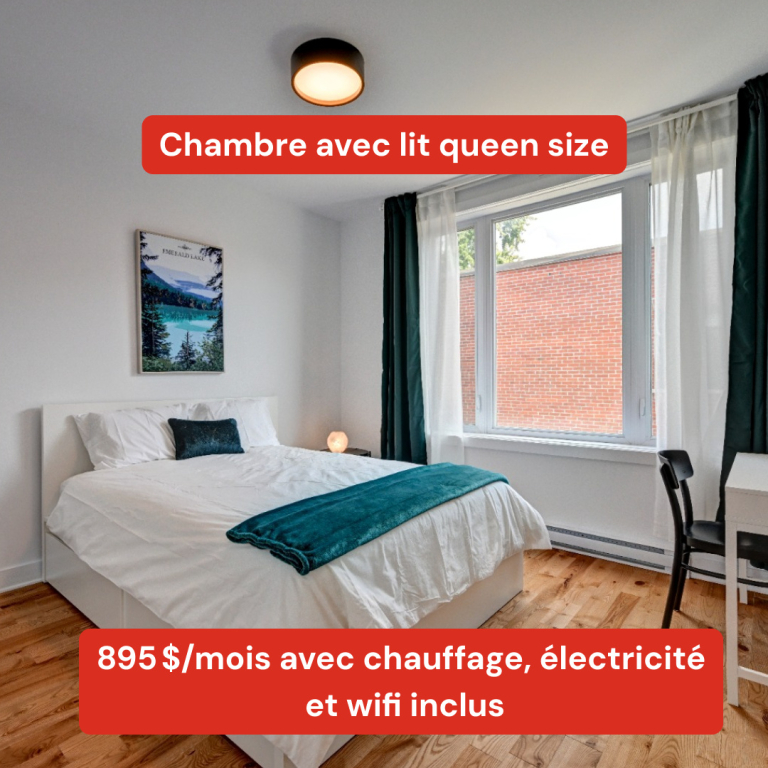 Co-location étudiantes, Montréal | 2940954
