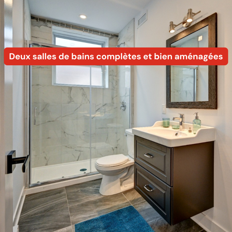 Co-location étudiantes, Montréal | 2940954